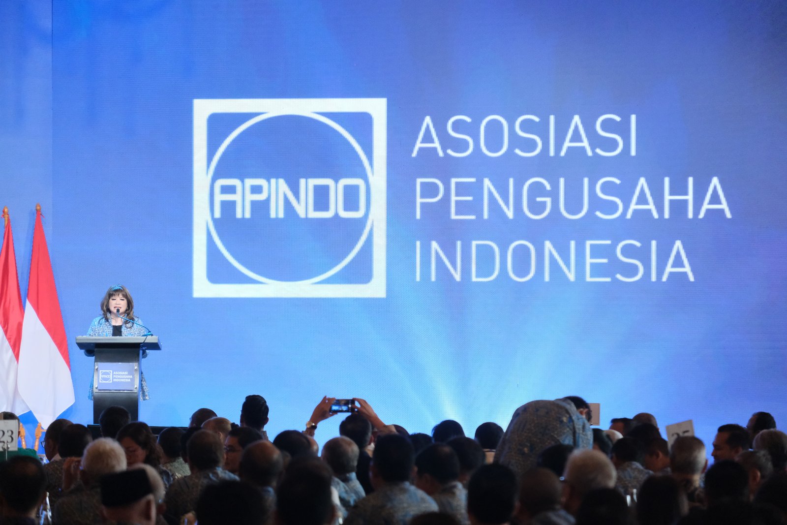 Apindo Usul 5 Jurus Jitu Genjot Penerimaan Negara