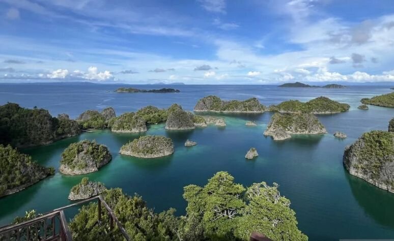 Bappenas Soroti Pentingnya Ekonomi Hijau terhadap Perubahan Iklim