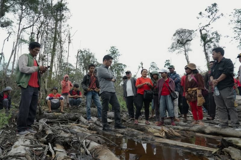 DPR Desak Hentikan Deforestasi Hutan di Sumut