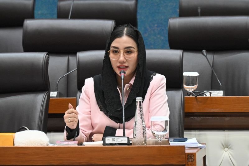 DPR Minta Perusahaan Air Minum Bertanggung Jawab Atas Air Rakyat