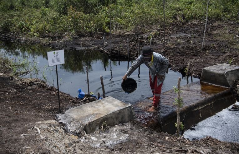 Desealing Soil untuk Mengembalikan Napas Kota