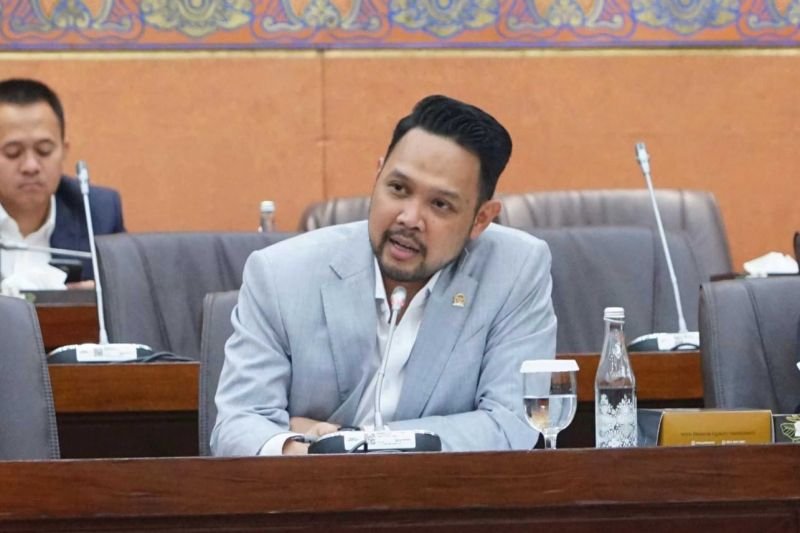 DPR Minta Pemerintah Bentuk Satgas Perlindungan Konsumen Digital