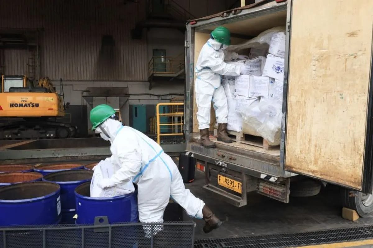 Menteri LH: Udang Terkontaminasi Cs-137 Dimusnahkan demi Lindungi Publik