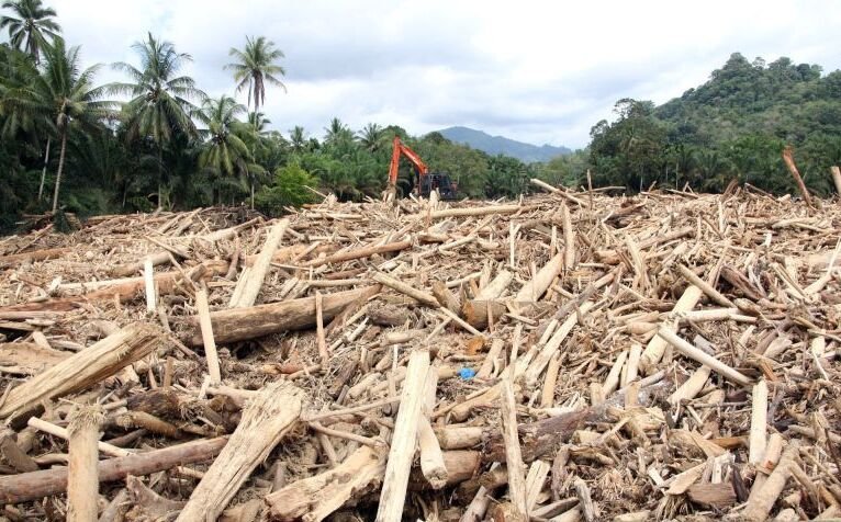 Jejak Deforestasi dan Tantangan Ekonomi Hijau pada Bencana di Sumatera