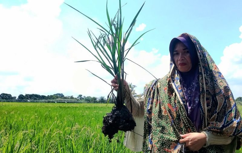 Derita Panjang Warga Lingkar Tambang Tapin, Tali Asih Bukan Jawaban