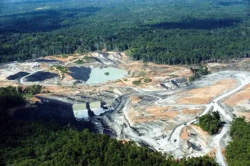 IKN Ngebut Sapu Bersih Tambang Ilegal