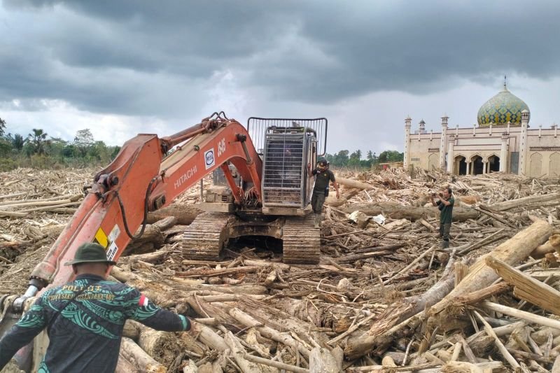 Wamenhut Pastikan Percepat Pembersihan Kayu Terseret Banjir