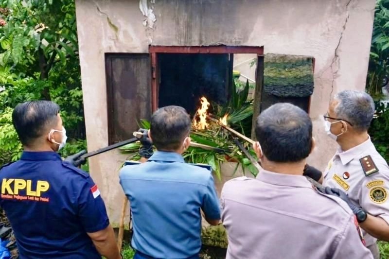 Ribuan Bibit Sawit dan Telur Belangkas Berakhir di Insinerator
