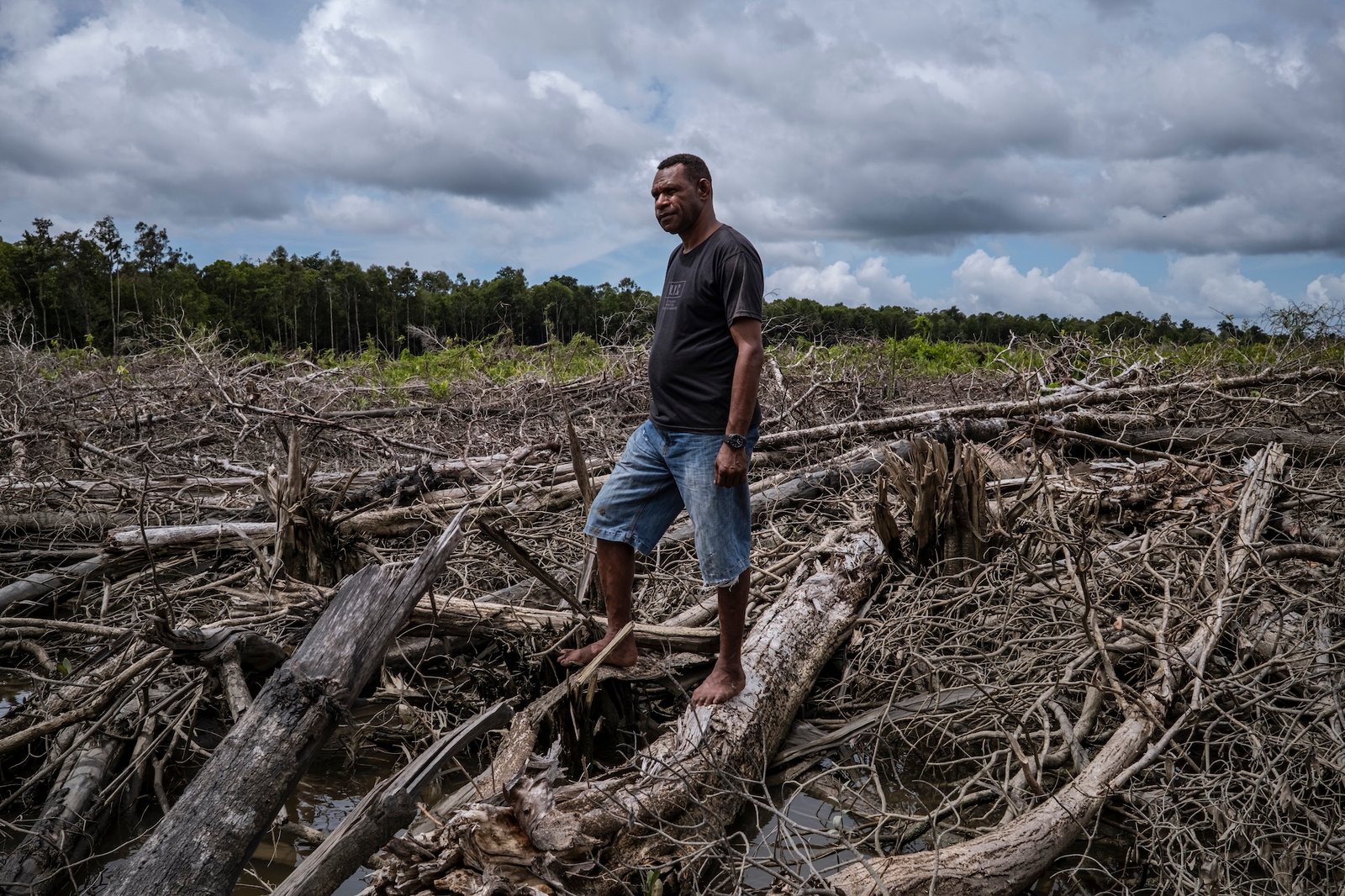 Ambisi Sawit di Papua: Jalan Pintas Energi Mengancam Hutan dan Hak Masyarakat Adat