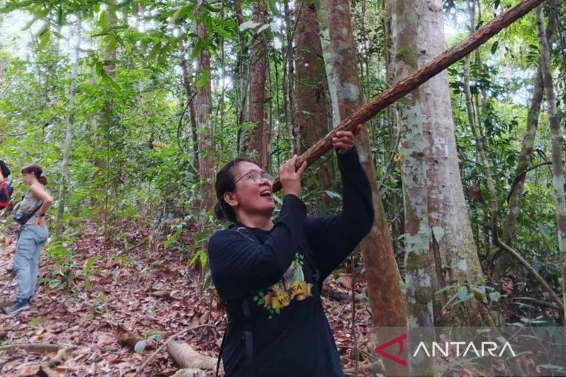 Yuliana Wetuq dan Tujuh Penjaga Menjadi Nyawa Terakhir Hutan Wehea
