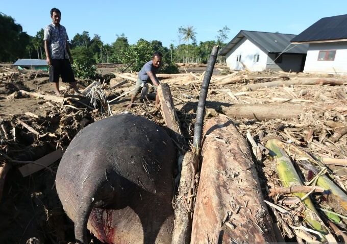 Bencana Senyar, Tagihan Hutang Ekologis yang Jatuh Tempo