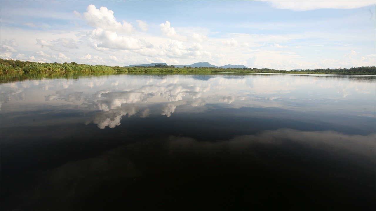 Deforestasi PT ESR di Kapuas Hulu: Orangutan Terancam, Masyarakat Adat Terdesak