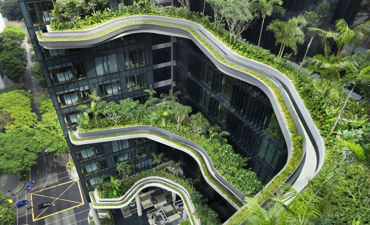 Atap Hijau yang Ikut Menyelematkan Kita