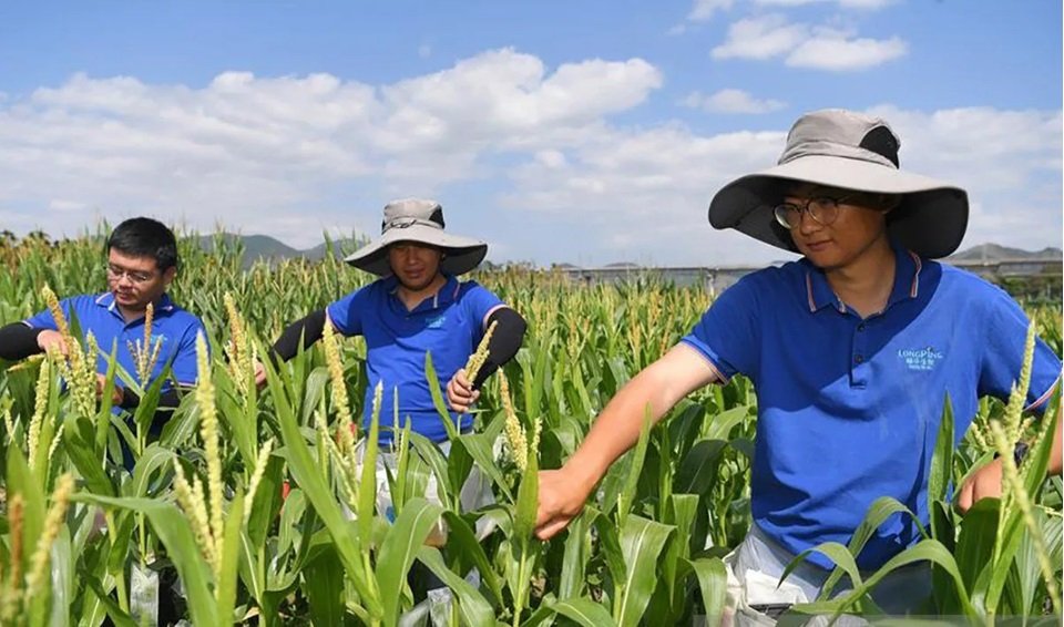 Emisi, Deforestasi, dan Rantai Pasok: PR Besar Sektor Pangan di Era Krisis Iklim