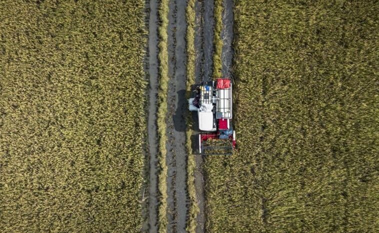 Bersiap Menyambut Panen Raya 2026