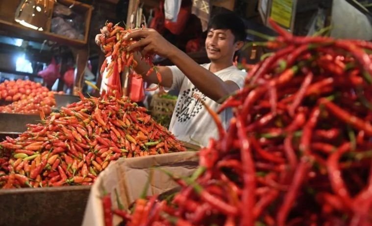 Harga Cabai Meroket Jelang Ramadan, INDEF: Inflasi Musiman