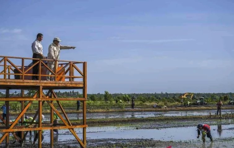 Proyek Sawah Raksasa di Papua Selatan: Antara Ambisi Swasembada dan Bayang-Bayang Kegagalan