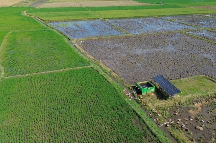 Matahari Penjaga Swasembada Pangan