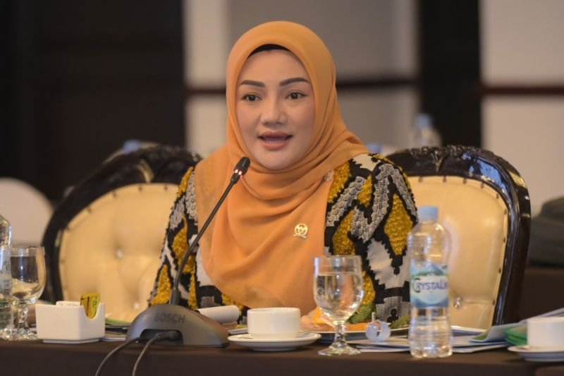 Anggota DPR Minta Implementasi UU TKPS Dievaluasi