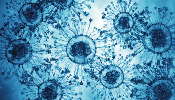 Hantavirus, Cermin Peradaban dan Luka Ekologi Manusia