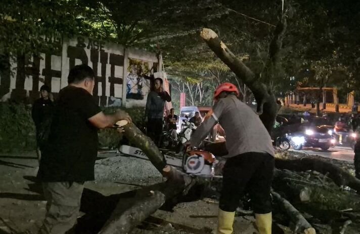 Lima Pengendara di Jatinangor Tertimpa Pohon Tumbang