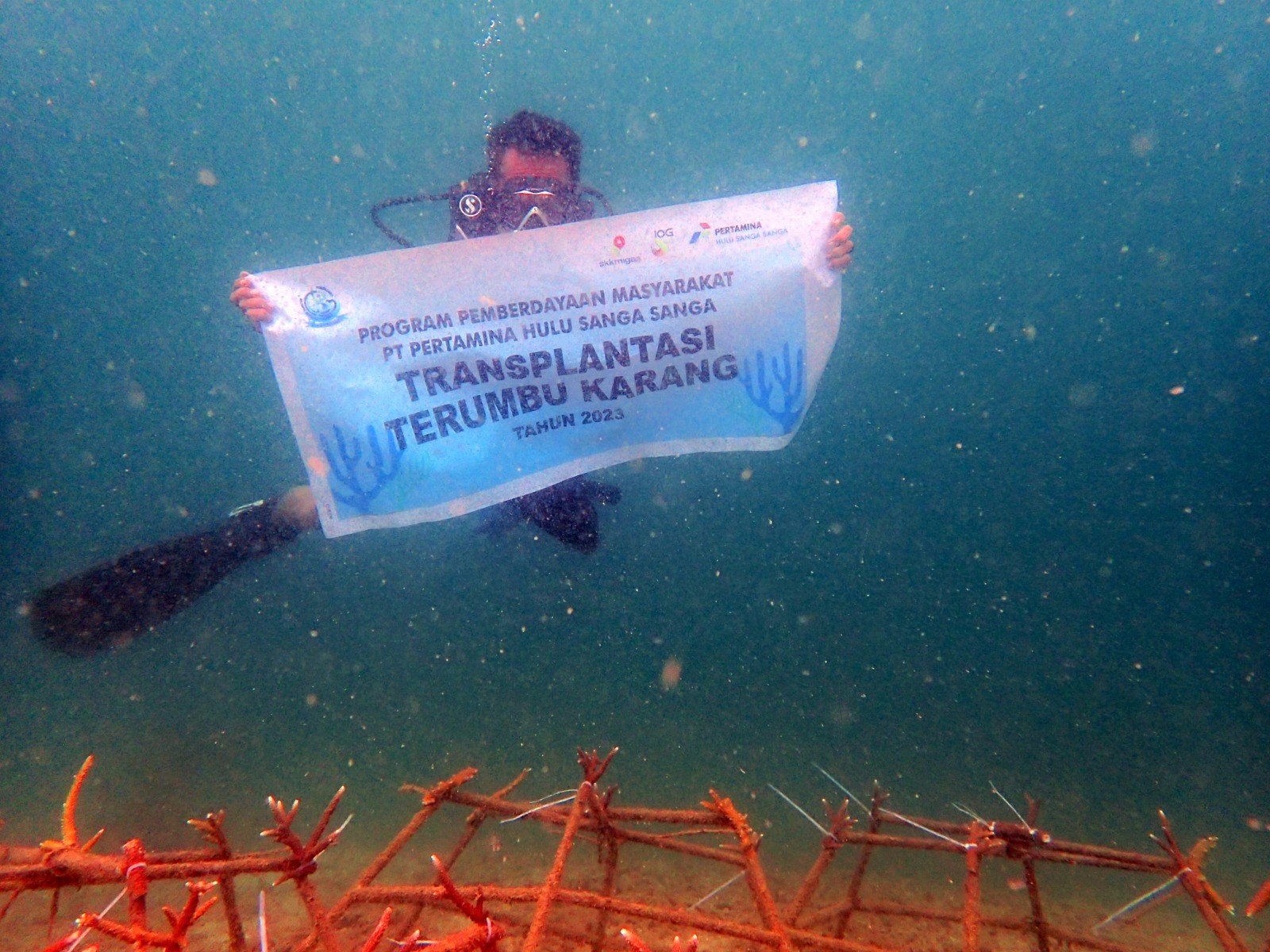 Pertamina Hulu Indonesia Perluas Upaya Pelestarian Laut di Momentum Hari Terumbu Karang Sedunia