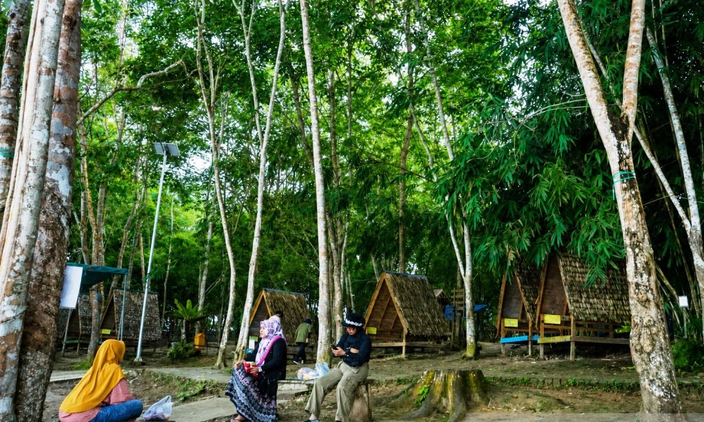 Saat Hutan Tak Ditebang: Gaharu, Madu, dan Wisata Alam Hasilkan Rp8,1 Miliar
