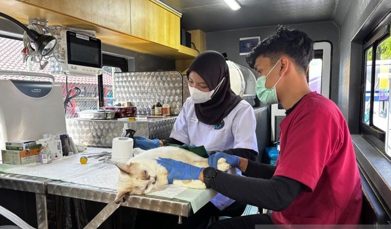 Pramono Ajak Warga Manfaatkan Mobil Klinik Hewan Keliling, Layanan Lengkap dengan Tarif Terjangkau