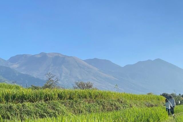 BBKSDA Pastikan Kebakaran di Gunung Guntur Garut Tak Meluas