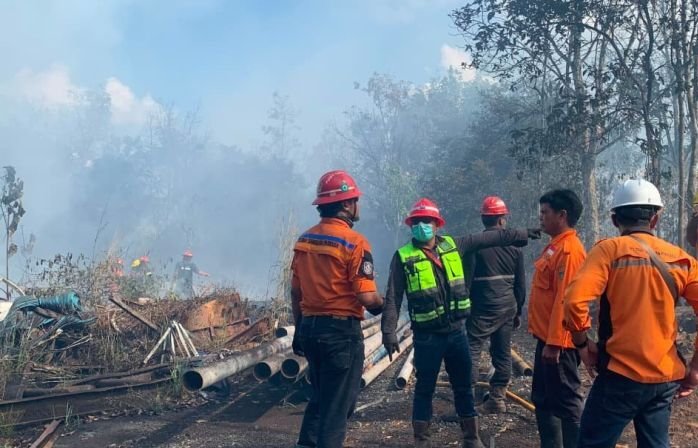Tim Gabungan Berhasil Padamkan Karhutla di Kalsel dan Kaltim