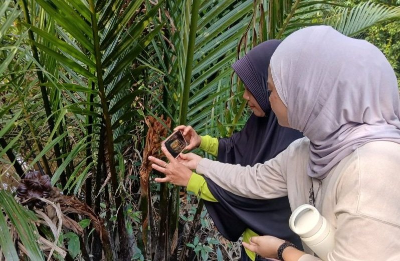 Mangrove Menyusut 200 Ribu Hektare, Kolaborasi di Kubu Raya Didorong untuk Selamatkan Ekonomi Biru