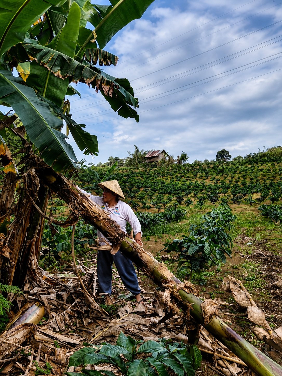 Hutan Tetap Lestari, Dapur Tetap Berasap: Cara Perempuan Semende Menjaga Alam