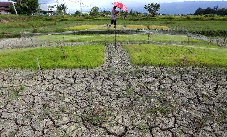 Hampir Tiga Bulan Kekeringan Ekstrem Melanda Bima NTB