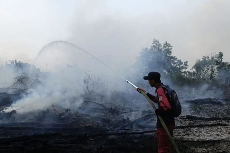 Perkuat Deteksi Dini Karhutla, Kemenhut Pantau 73 Hotspot di Kalsel