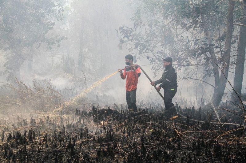 Kalimantan Dikepung 1.487 Titik Panas Potensi Karhutla