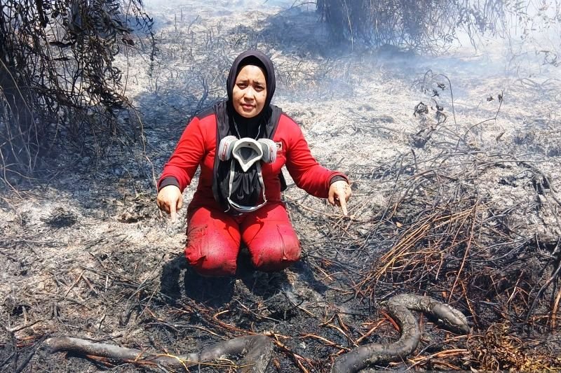 Karhutla Makin Mengancam, KLH Keluarkan Instruksi Mendesak untuk 6 Gubernur