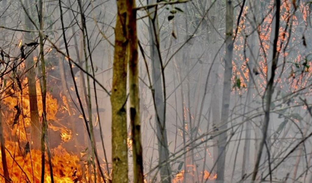 Hari Ini, 473 Titik Panas Terdeteksi di Kalsel, Zona Merah Karhutla Meluas
