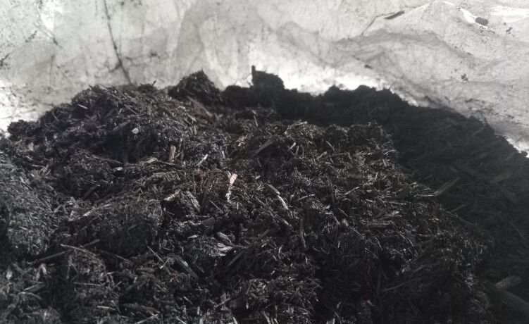 ABII Nilai Indonesia Berpeluang Jadi Pemasok Biochar Global