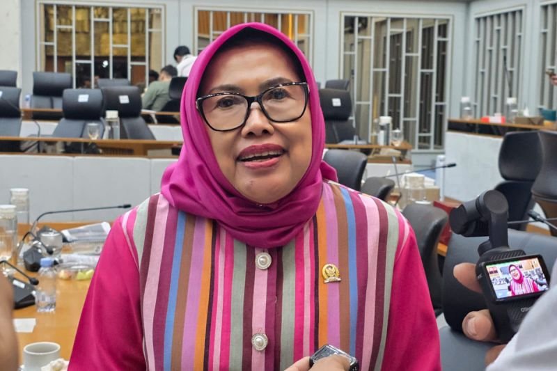 Anggota DPR Dukung Penindakan Tegas Pelarangan Beras Fortifikasi