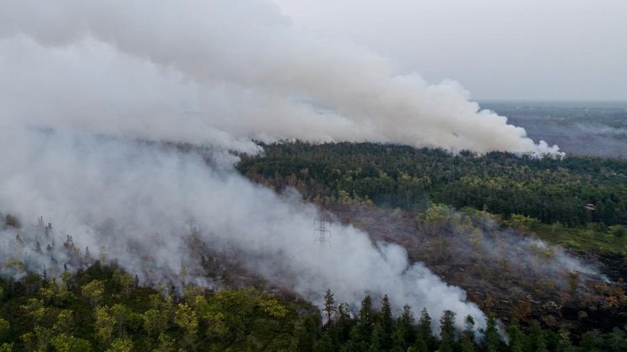 Karhutla 3 Bulan, Anggota DPR Dorong Naikan Status Bencana Nasional