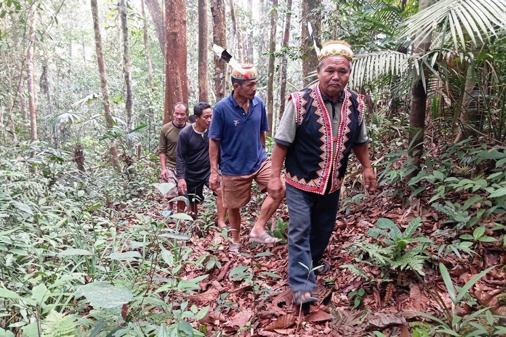 Hutan Dijaga, Air Tetap Mengalir: Cara Masyarakat Adat Mahulu Bertahan saat Kemarau